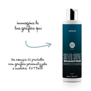 Silver Shine 250 ml